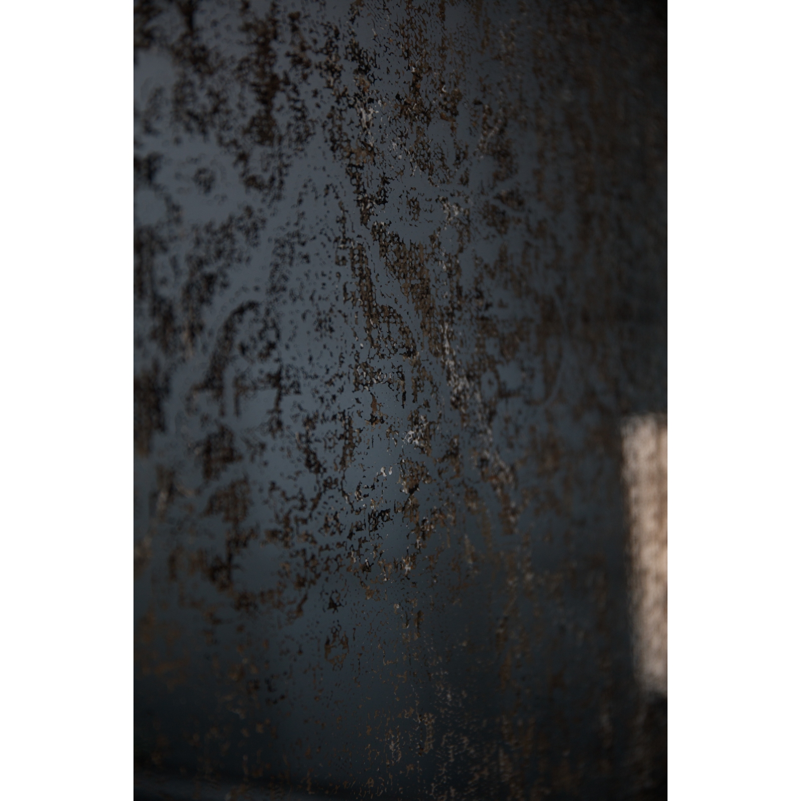 20854-a.jpg