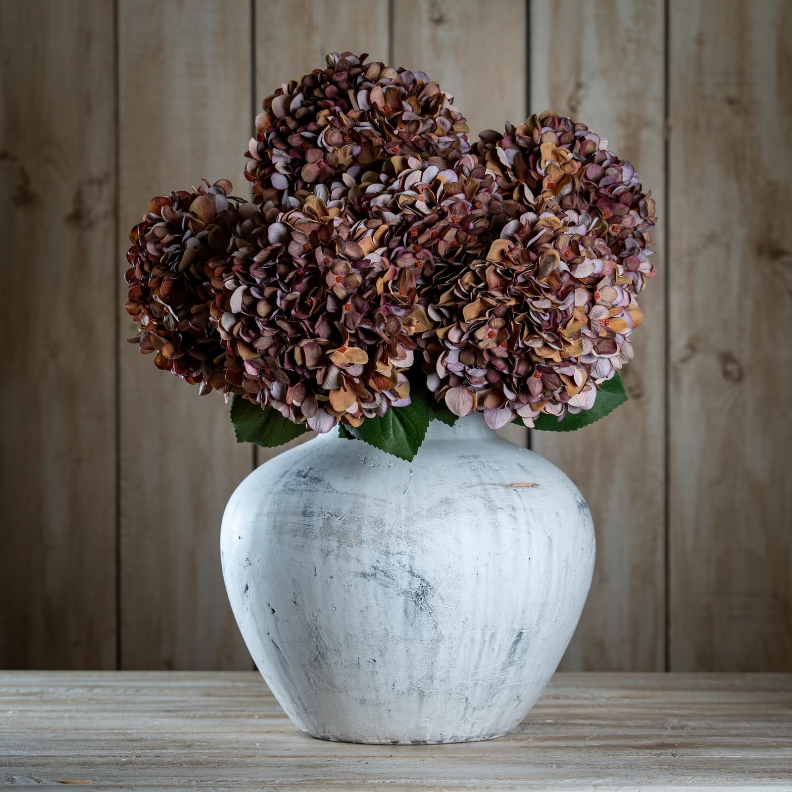 19035-a.jpg